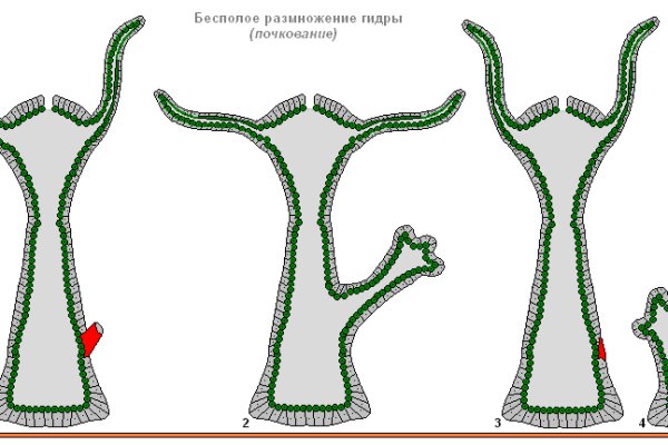 Кракен короткая ссылка