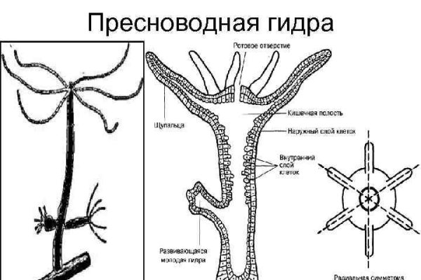 Кракен kr2web in маркетплейс ссылка