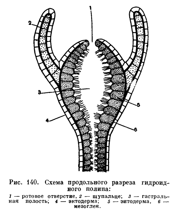 Маркетплейс кракен kraken