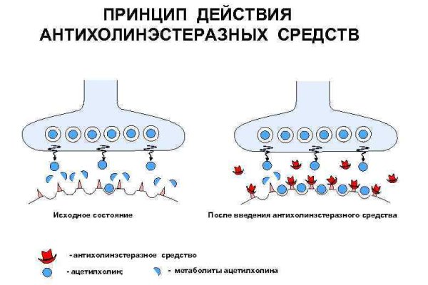 Сайт kraken зеркала